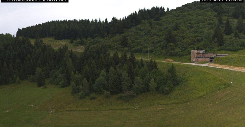 Webcam Монте-Бондоне  - Bondone Diagonale Montesel