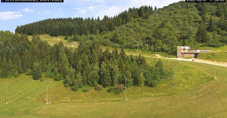 Webcam Монте-Бондоне  - Bondone Diagonale Montesel