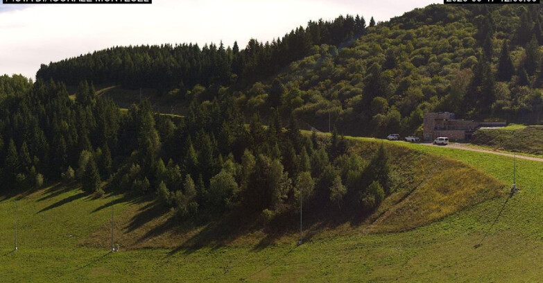 Webcam Монте-Бондоне  - Bondone Diagonale Montesel