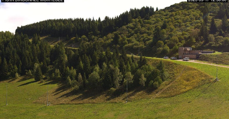 Webcam Монте-Бондоне  - Bondone Diagonale Montesel