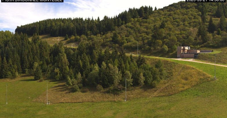 Webcam Monte Bondone - Bondone Diagonale Montesel