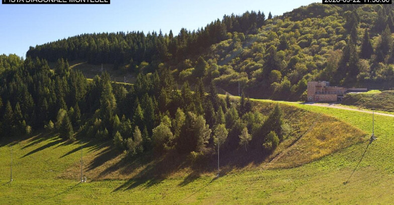 Webcam Monte Bondone - Bondone Diagonale Montesel