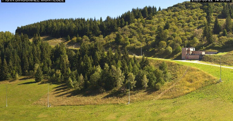 Webcam Monte Bondone - Bondone Diagonale Montesel