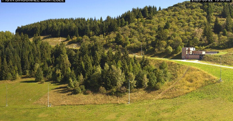 Webcam Monte Bondone - Bondone Diagonale Montesel