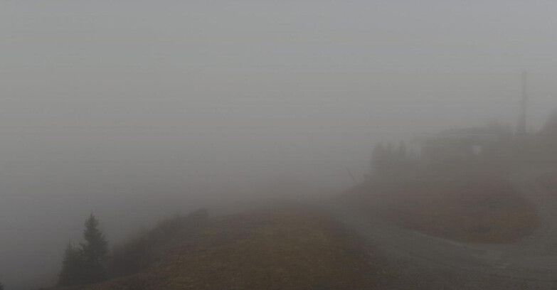 Webcam Folgarida-Marilleva  (Skiarea Campiglio Dolomiti di Brenta - Val di Sole Val Rendena) - Seggiovia Malghette  Webcam Folgarida-Marilleva  (Skiarea Campiglio Dolomiti di Brenta - Val di Sole Val Rendena) - Seggiovia Malghette