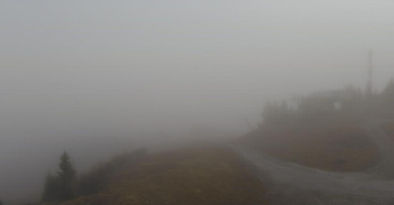 Webcam Folgarida-Marilleva  (Skiarea Campiglio Dolomiti di Brenta - Val di Sole Val Rendena) - Seggiovia Malghette  Webcam Folgarida-Marilleva  (Skiarea Campiglio Dolomiti di Brenta - Val di Sole Val Rendena) - Seggiovia Malghette