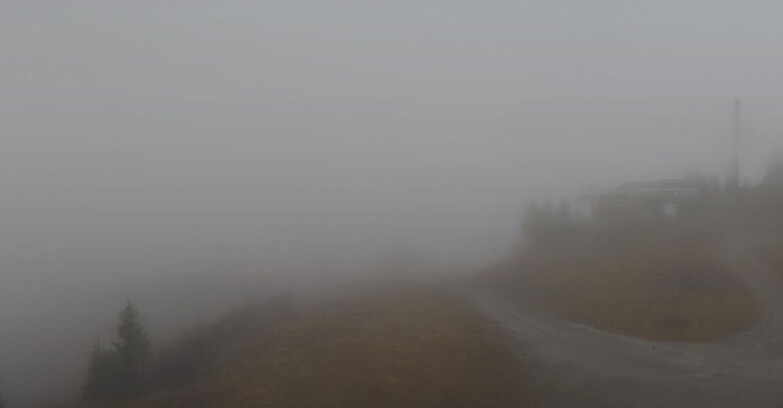 Webcam Folgarida-Marilleva  (Skiarea Campiglio Dolomiti di Brenta - Val di Sole Val Rendena) - Seggiovia Malghette  Webcam Folgarida-Marilleva  (Skiarea Campiglio Dolomiti di Brenta - Val di Sole Val Rendena) - Seggiovia Malghette