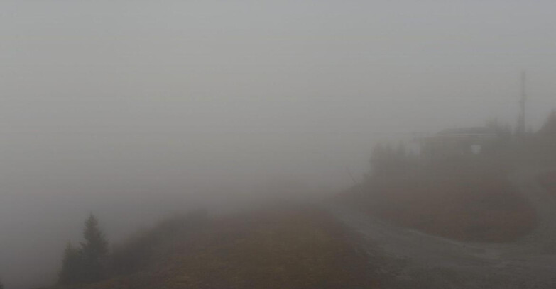 Webcam Folgarida-Marilleva  (Skiarea Campiglio Dolomiti di Brenta - Val di Sole Val Rendena) - Seggiovia Malghette  Webcam Folgarida-Marilleva  (Skiarea Campiglio Dolomiti di Brenta - Val di Sole Val Rendena) - Seggiovia Malghette