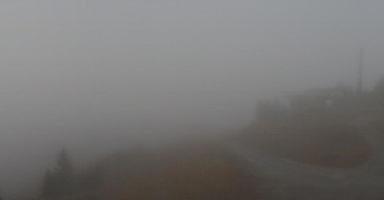 Webcam Folgarida-Marilleva  (Skiarea Campiglio Dolomiti di Brenta - Val di Sole Val Rendena) - Seggiovia Malghette  Webcam Folgarida-Marilleva  (Skiarea Campiglio Dolomiti di Brenta - Val di Sole Val Rendena) - Seggiovia Malghette