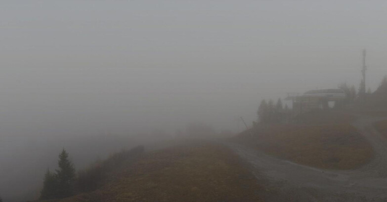 Webcam Folgarida-Marilleva  (Skiarea Campiglio Dolomiti di Brenta - Val di Sole Val Rendena) - Seggiovia Malghette  Webcam Folgarida-Marilleva  (Skiarea Campiglio Dolomiti di Brenta - Val di Sole Val Rendena) - Seggiovia Malghette