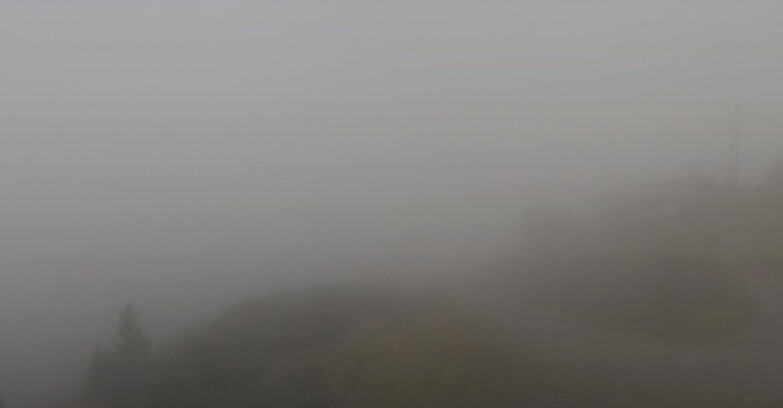Webcam Skiarea Campiglio Dolomiti di Brenta Val di Sole Val Rendena - Seggiovia Malghette 