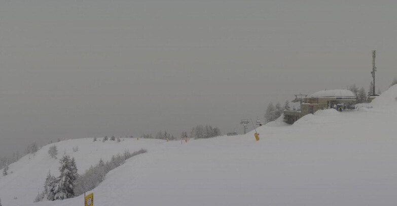 Webcam Ski area Campiglio Dolomiti di Brenta Val di Sole Val Rendena - Seggiovia Malghette 