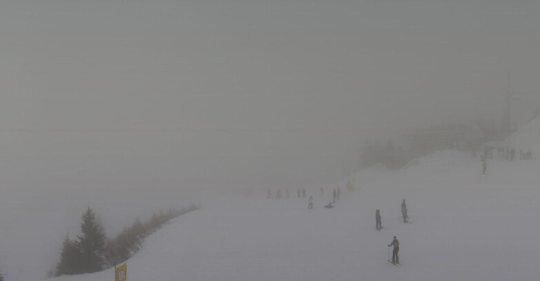 Webcam Folgarida-Marilleva  (Skiarea Campiglio Dolomiti di Brenta - Val di Sole Val Rendena) - Seggiovia Malghette 