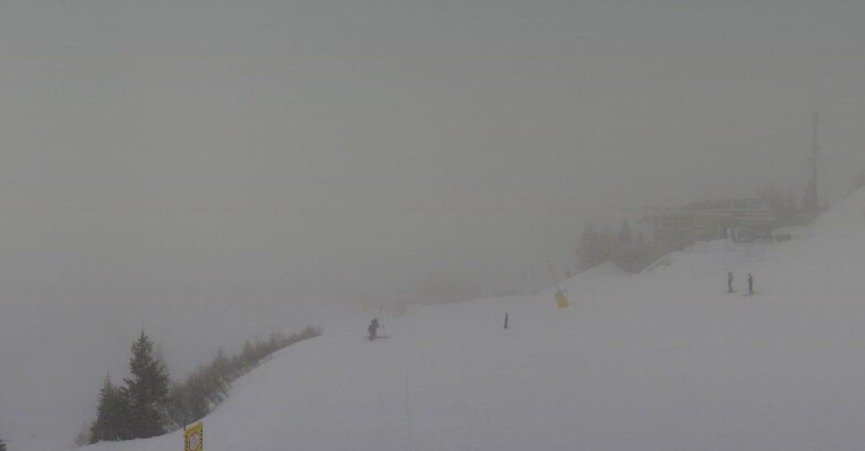 Webcam Folgarida-Marilleva  (Skiarea Campiglio Dolomiti di Brenta - Val di Sole Val Rendena) - Seggiovia Malghette 