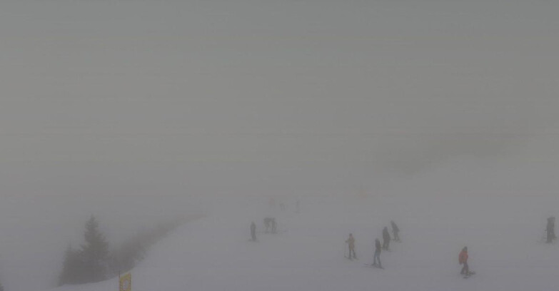 Webcam Folgarida-Marilleva  (Skiarea Campiglio Dolomiti di Brenta - Val di Sole Val Rendena) - Seggiovia Malghette 