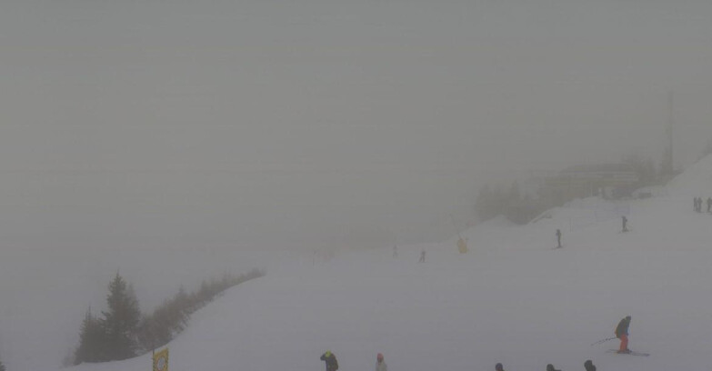 Webcam Folgarida-Marilleva  (Skiarea Campiglio Dolomiti di Brenta - Val di Sole Val Rendena) - Seggiovia Malghette 