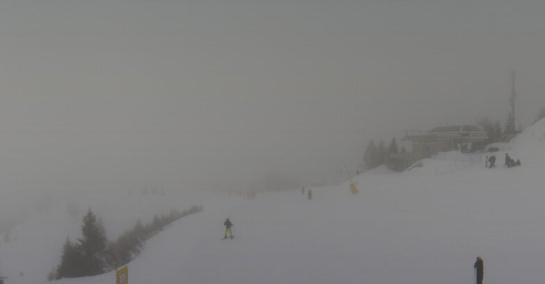 Webcam Folgarida-Marilleva  (Skiarea Campiglio Dolomiti di Brenta - Val di Sole Val Rendena) - Seggiovia Malghette 