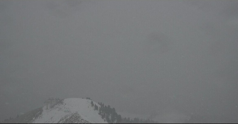 Webcam Pozza di Fassa-Aloch-Buffaure  - Cabinovia Buffaure - Stazione a Monte