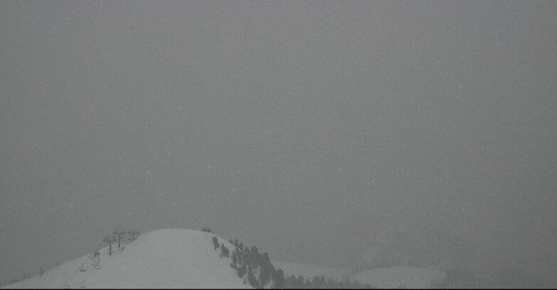 Webcam Pozza di Fassa-Aloch-Buffaure  - Cabinovia Buffaure - Stazione a Monte