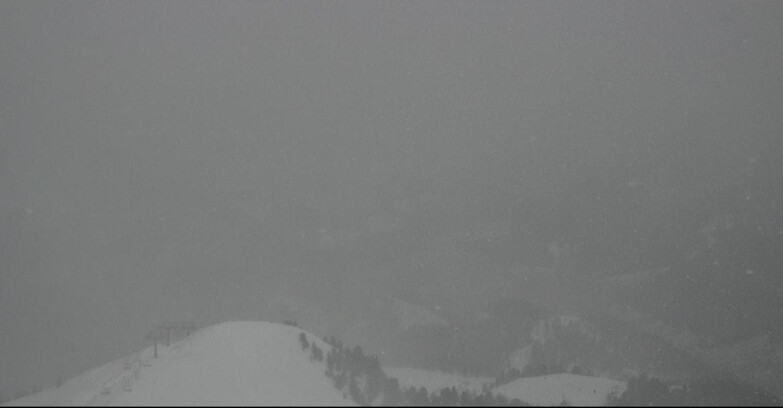 Webcam Pozza di Fassa-Aloch-Buffaure - Cabinovia Buffaure - Stazione a Monte