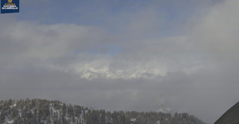 Webcam Folgarida-Marilleva  (Skiarea Campiglio Dolomiti di Brenta - Val di Sole Val Rendena) - Gruppo Ortles-Cevedale 