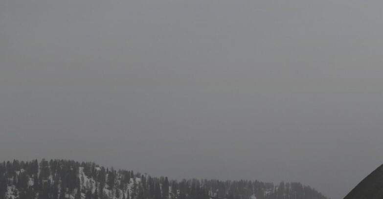Webcam Folgarida-Marilleva  (Skiarea Campiglio Dolomiti di Brenta - Val di Sole Val Rendena) - Gruppo Ortles-Cevedale 