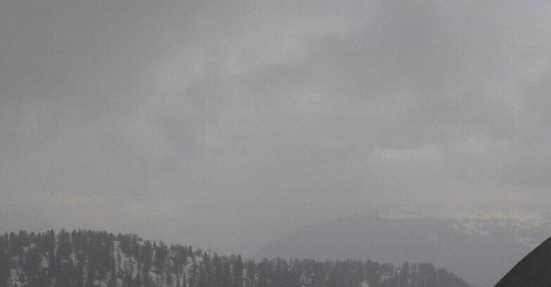 Webcam Folgarida-Marilleva  (Skiarea Campiglio Dolomiti di Brenta - Val di Sole Val Rendena) - Gruppo Ortles-Cevedale 