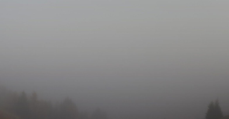 Webcam Folgarida-Marilleva  (Skiarea Campiglio Dolomiti di Brenta - Val di Sole Val Rendena) - Marilleva-Val Panciana Webcam Folgarida-Marilleva  (Skiarea Campiglio Dolomiti di Brenta - Val di Sole Val Rendena) - Marilleva-Val Panciana