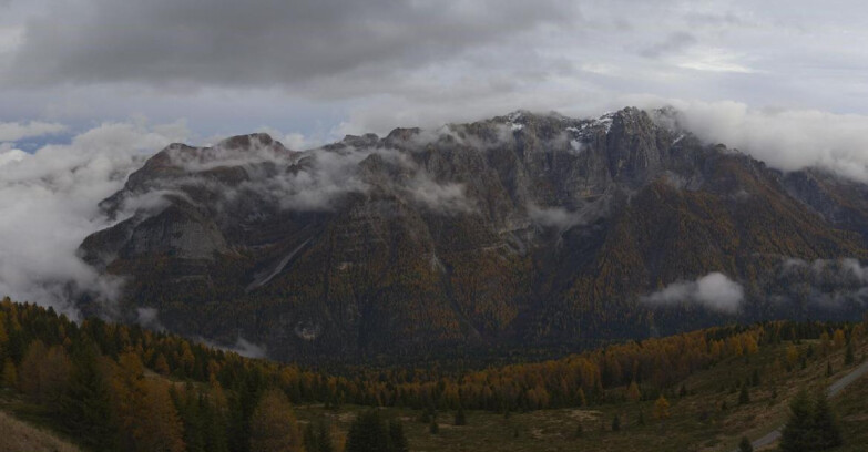 Webcam Ski area Campiglio Dolomiti di Brenta Val di Sole Val Rendena - Dolomiti di Brenta Marilleva