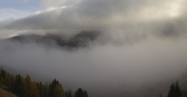 Webcam Ski area Campiglio Dolomiti di Brenta Val di Sole Val Rendena - Dolomiti di Brenta Marilleva