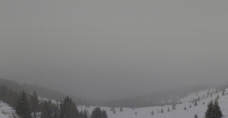 Webcam Folgarida-Marilleva  (Skiarea Campiglio Dolomiti di Brenta - Val di Sole Val Rendena) - Marilleva-Val Panciana