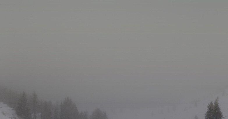 Webcam Folgarida-Marilleva  (Skiarea Campiglio Dolomiti di Brenta - Val di Sole Val Rendena) - Marilleva-Val Panciana