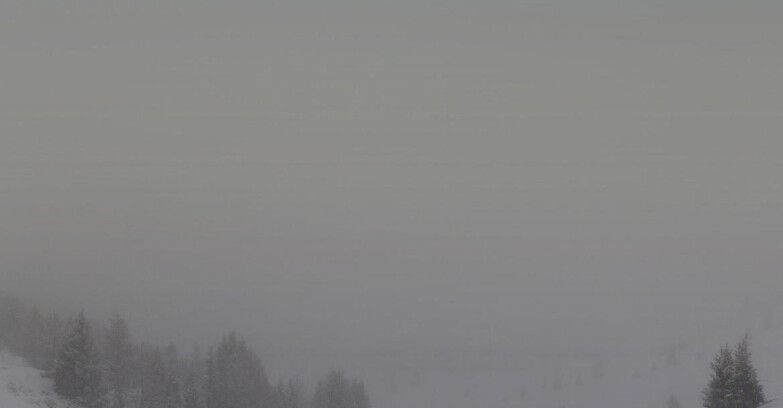 Webcam Folgarida-Marilleva  (Skiarea Campiglio Dolomiti di Brenta - Val di Sole Val Rendena) - Marilleva-Val Panciana