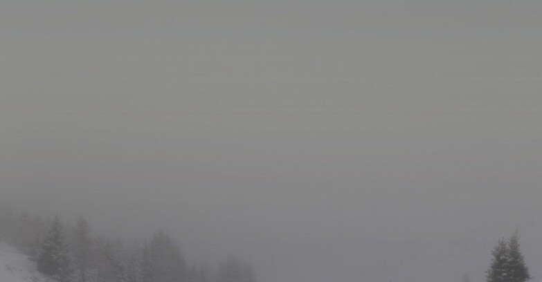 Webcam Folgarida-Marilleva  (Skiarea Campiglio Dolomiti di Brenta - Val di Sole Val Rendena) - Marilleva-Val Panciana