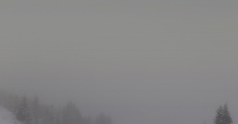 Webcam Folgarida-Marilleva  (Skiarea Campiglio Dolomiti di Brenta - Val di Sole Val Rendena) - Marilleva-Val Panciana