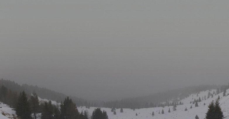 Webcam Folgarida-Marilleva  (Skiarea Campiglio Dolomiti di Brenta - Val di Sole Val Rendena) - Marilleva-Val Panciana