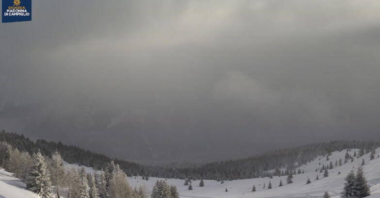 Webcam Folgarida-Marilleva  (Skiarea Campiglio Dolomiti di Brenta - Val di Sole Val Rendena) - Marilleva-Val Panciana