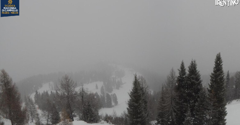 Webcam Folgarida-Marilleva  (Skiarea Campiglio Dolomiti di Brenta - Val di Sole Val Rendena) - Folgarida Malghet Aut 