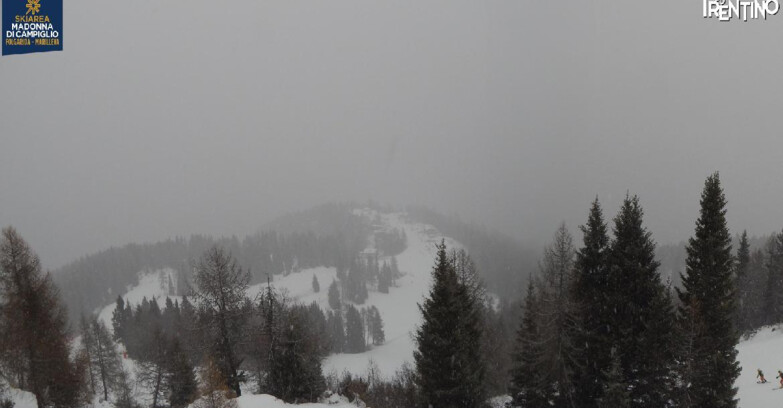 Webcam Folgarida-Marilleva  (Skiarea Campiglio Dolomiti di Brenta - Val di Sole Val Rendena) - Folgarida Malghet Aut 