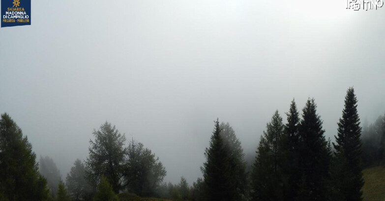 Webcam Skiarea Campiglio Dolomiti di Brenta Val di Sole Val Rendena - Folgarida Malghet Aut 