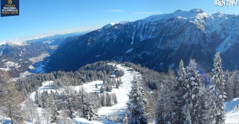 Webcam Skiarea Campiglio Dolomiti di Brenta Val di Sole Val Rendena - Folgarida Malghet Aut 