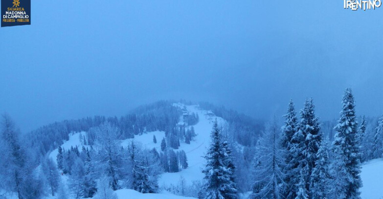 Webcam Ski area Campiglio Dolomiti di Brenta Val di Sole Val Rendena - Folgarida Malghet Aut 