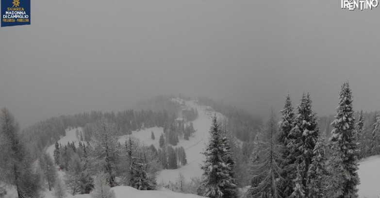 Webcam Ski area Campiglio Dolomiti di Brenta Val di Sole Val Rendena - Folgarida Malghet Aut 