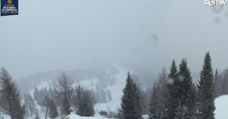 Webcam Folgarida-Marilleva  (Skiarea Campiglio Dolomiti di Brenta - Val di Sole Val Rendena) - Folgarida Malghet Aut 