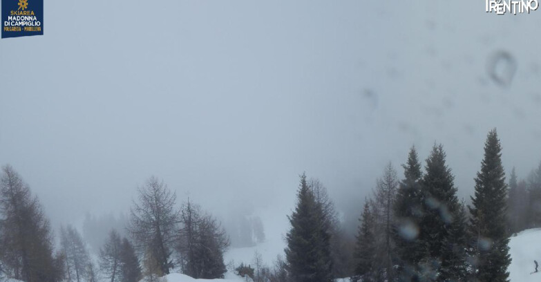 Webcam Folgarida-Marilleva  (Skiarea Campiglio Dolomiti di Brenta - Val di Sole Val Rendena) - Folgarida Malghet Aut 