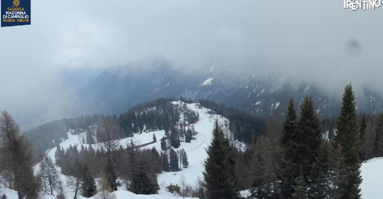 Webcam Folgarida-Marilleva  (Skiarea Campiglio Dolomiti di Brenta - Val di Sole Val Rendena) - Folgarida Malghet Aut 