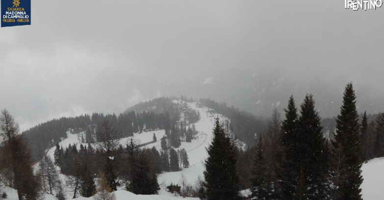 Webcam Folgarida-Marilleva  (Skiarea Campiglio Dolomiti di Brenta - Val di Sole Val Rendena) - Folgarida Malghet Aut 