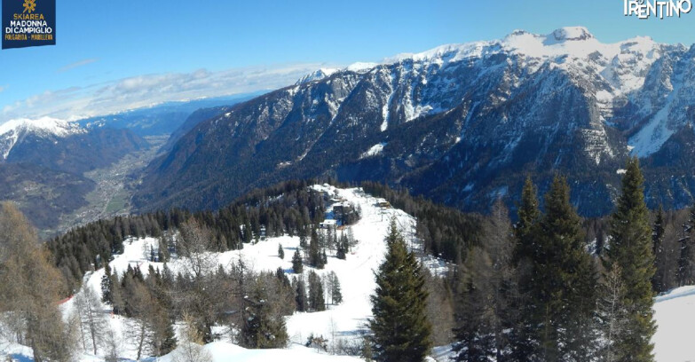 Webcam Skiarea Campiglio Dolomiti di Brenta Val di Sole Val Rendena - Folgarida Malghet Aut 