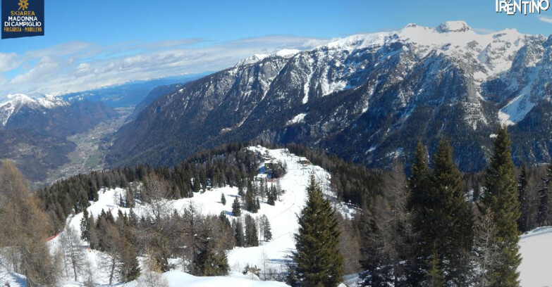 Webcam Skiarea Campiglio Dolomiti di Brenta Val di Sole Val Rendena - Folgarida Malghet Aut 