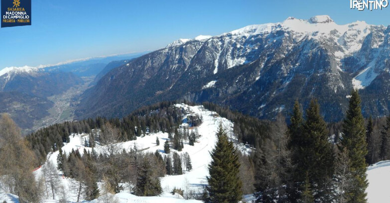 Webcam Skiarea Campiglio Dolomiti di Brenta Val di Sole Val Rendena - Folgarida Malghet Aut 